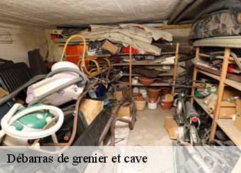 Débarras de grenier et cave  saint-remy-79410 Stephane antiquaire