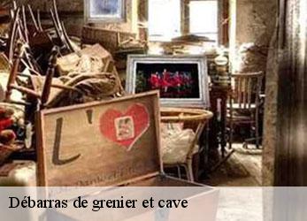 Débarras de grenier et cave  saint-remy-79410 Stephane antiquaire