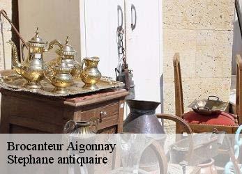 Brocanteur  aigonnay-79370 Stephane antiquaire