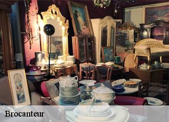 Brocanteur  le-breuil-bernard-79320 Stephane antiquaire