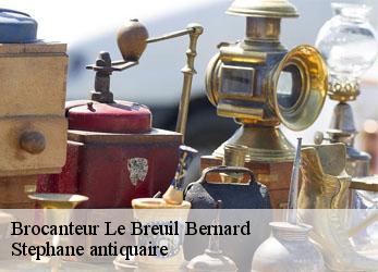 Brocanteur  le-breuil-bernard-79320 Stephane antiquaire