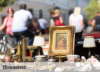 Brocanteur  le-breuil-bernard-79320 Stephane antiquaire