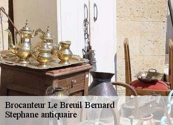 Brocanteur  le-breuil-bernard-79320 Stephane antiquaire