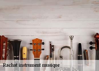 Rachat instrument musique  hanc-79110 Stephane antiquaire