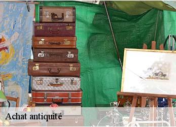 Achat antiquité  sainte-neomaye-79260 Stephane antiquaire